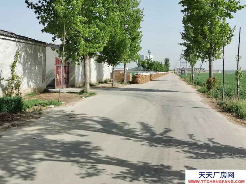 邢臺 任縣  (出租) 大豆村村北，總面積6畝，車間，庫房，鋼棚結構共1100平方