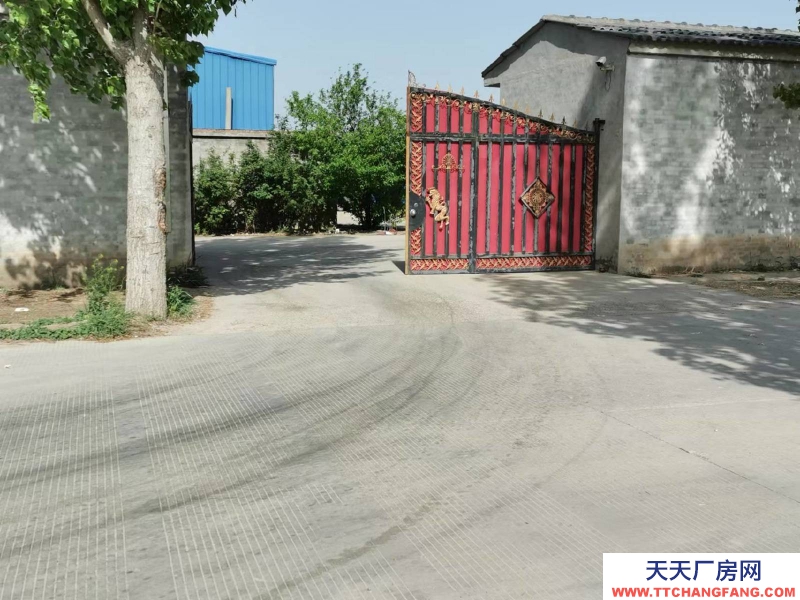 邢臺 任縣  (出租) 大豆村村北，總面積6畝，車間，庫房，鋼結構棚共1100平方