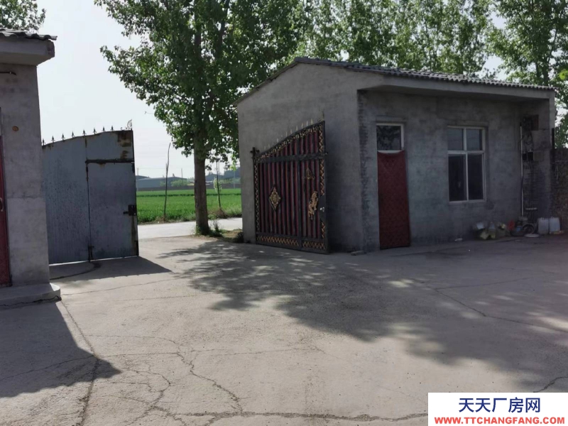 邢臺 任縣  (出租) 大豆村村北，總面積6畝，車間，庫房，鋼結構棚共1100平方