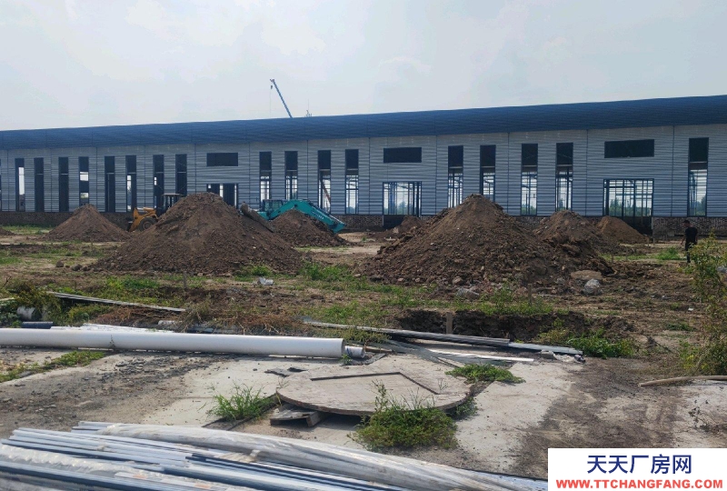 邢臺 任縣  (出售) 邢臺市任澤區出售單層標準廠房能上十頓天車層高12米