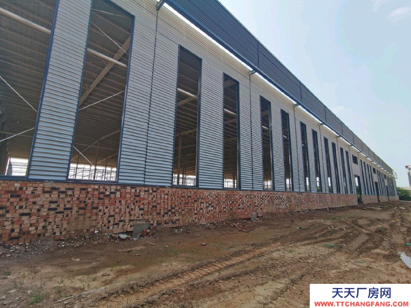 邢臺 任縣  (出售) 800平米-10000平米自由分割，層高12米，現房招商。