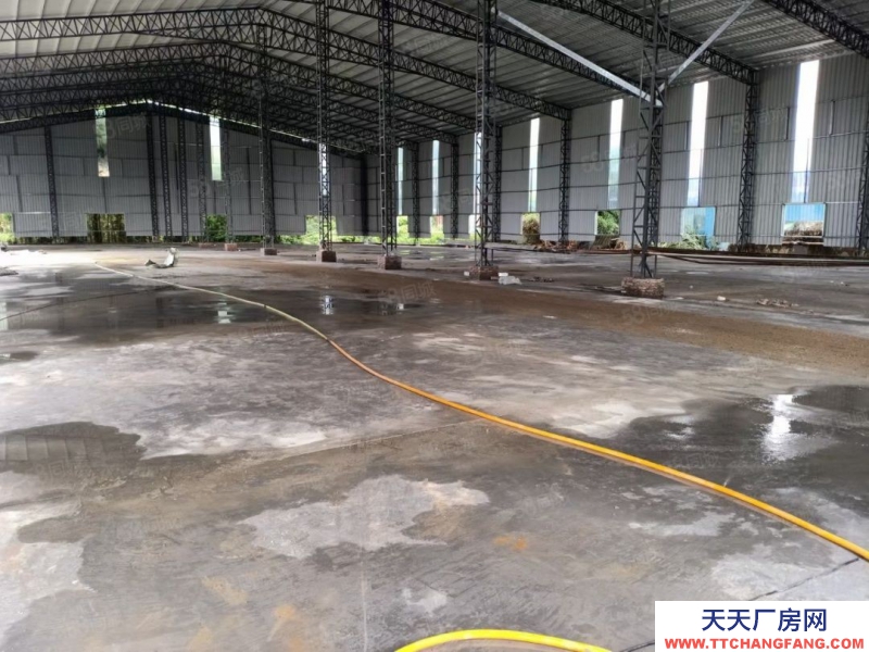 (出租) 惠州博羅沖壓鈑金龍溪國道邊上獨門獨院鋼構廠房空地1500平方原房東證件齊