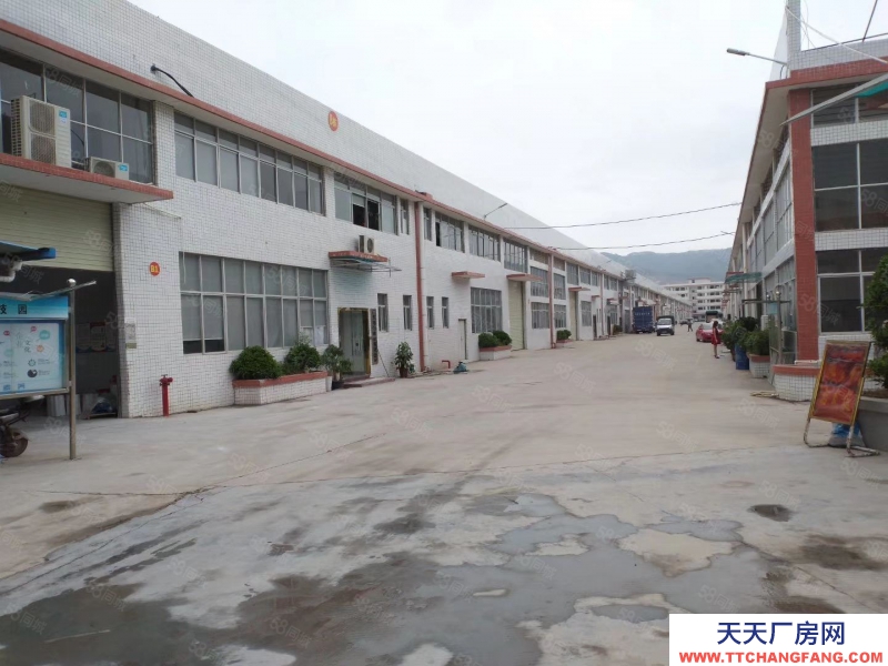 (出租) 惠州市博羅縣市石灣鎮大型工業園鋼構廠房招租適合各類生產加工