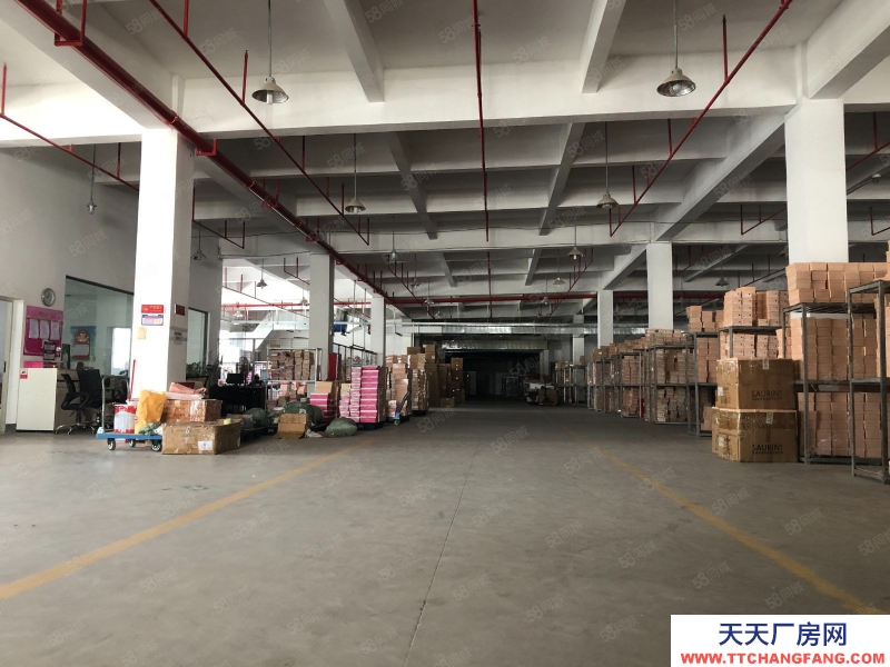 (出租) 惠州惠東大嶺原房東獨院獨棟工本低價廠房出租自帶抽立塑膠環評可分租適合大型機加工