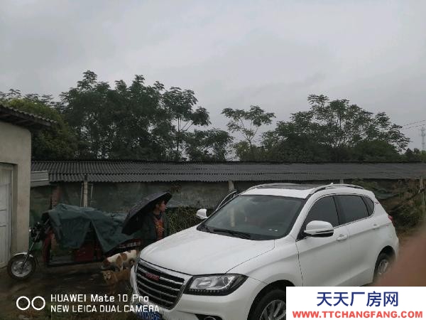 懷化市芷江區廠房出售  養豬場地，水電住宿廚房等齊全