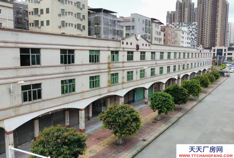 (出租) 惠州惠陽區低價大型成熟工業200000平米廠房出租