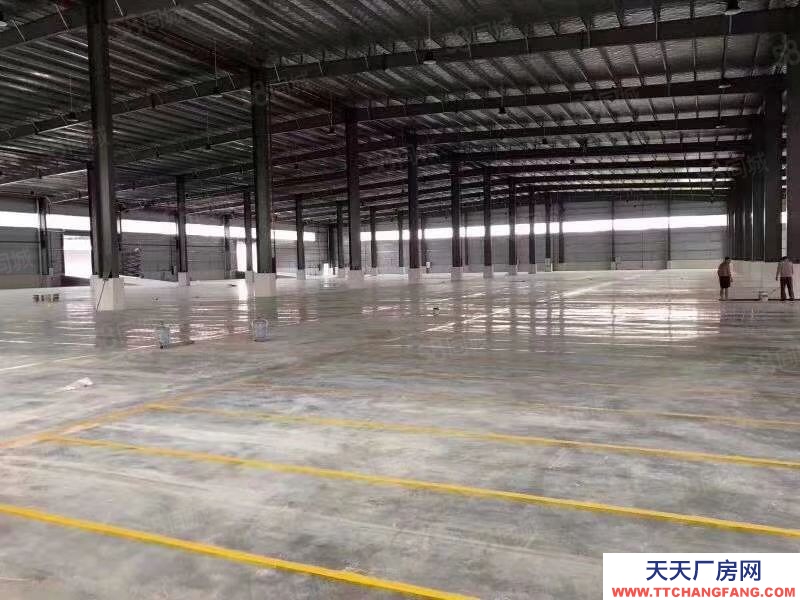 (出租) 惠州市惠東縣帶紅本鋼構(gòu)廠房招租,500平米起分適合重工業(yè)