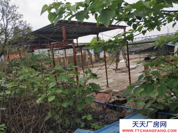 永州市冷水灘區廠房出售 開廠房！860萬17畝地這個才是真實情況可進出拖掛車！