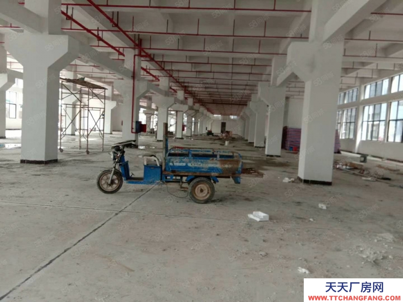 (出租) 惠州市龍門縣產業園轉移政府扶持廠房出租