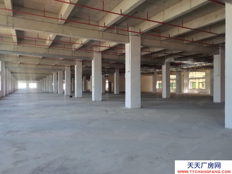 (出租)惠州龍門縣77000平政府扶持可做污染行業(yè)