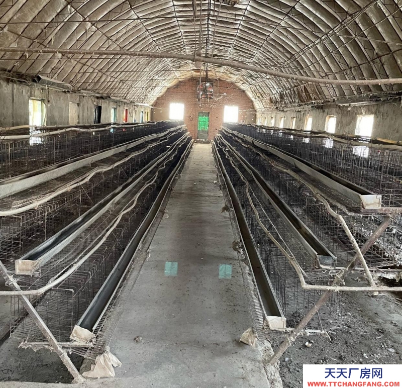 (出租) 養(yǎng)雞，養(yǎng)豬，養(yǎng)羊， 養(yǎng)牛，