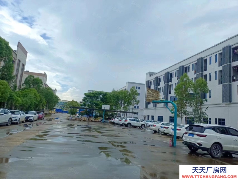 (出租) 惠州龍門高速口帶紅本全新廠房