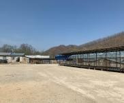 (出售) 出售延邊州琿春市養(yǎng)豬場