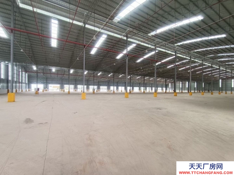 (出租) 惠州惠東7000平方帶高臺卸貨平臺標準物流倉 招租 滴水12米高