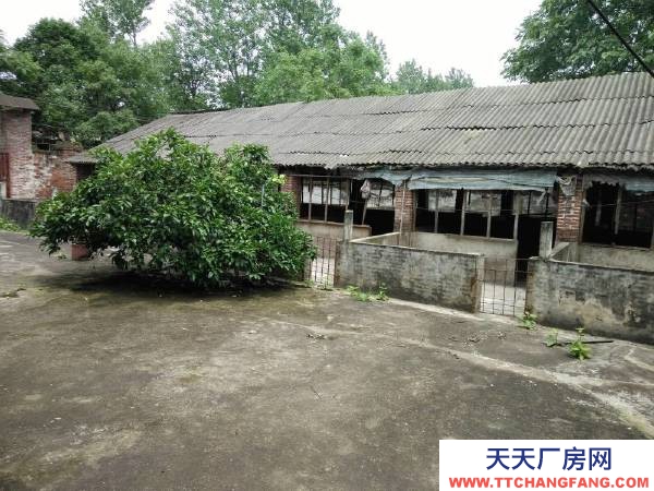 永州市祁陽區廠房出租  廠房倉庫出租:祁陽市觀音灘322國道旁，四周有圍墻，交通便捷