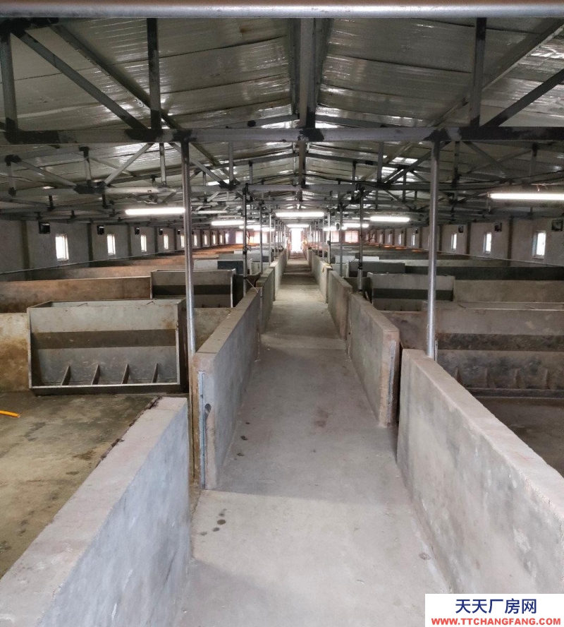 (出售) 養(yǎng)豬場(chǎng)，現(xiàn)有豬棚一個(gè)面積為900平米