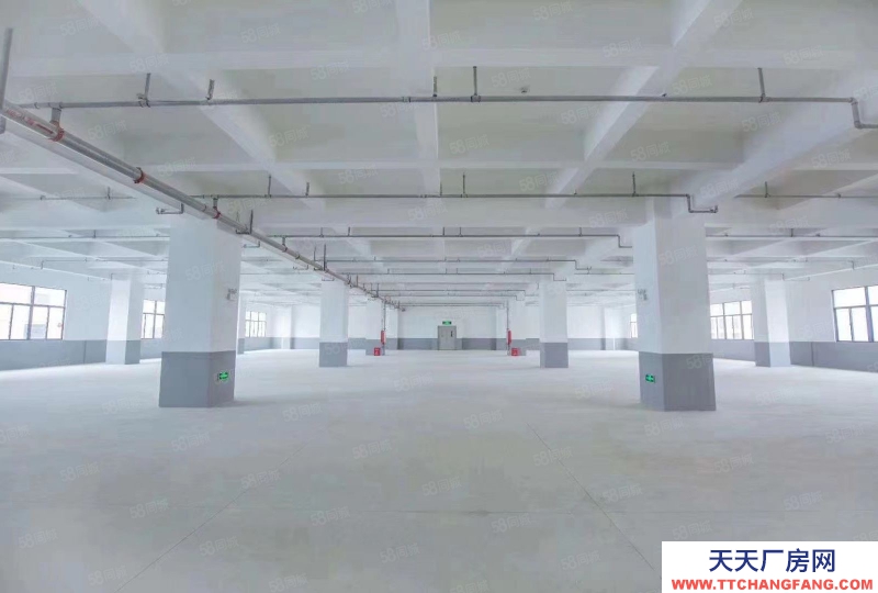 (出租) 惠州惠城區水口東江工業區獨院10000平方廠房出租