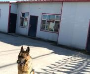 (出租) 龍井帽兒山南側 東盛涌鎮 保溫板廠 賣也可以