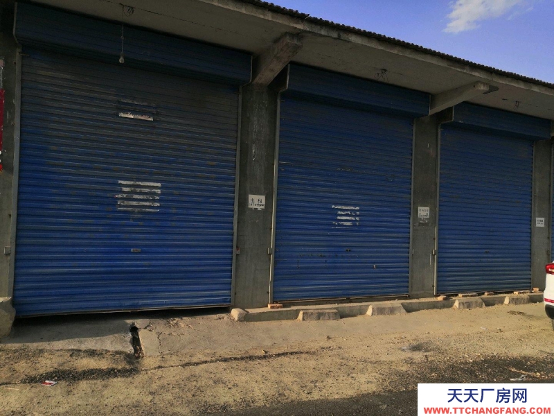 (出租) 出租朔城區新一中東庫房