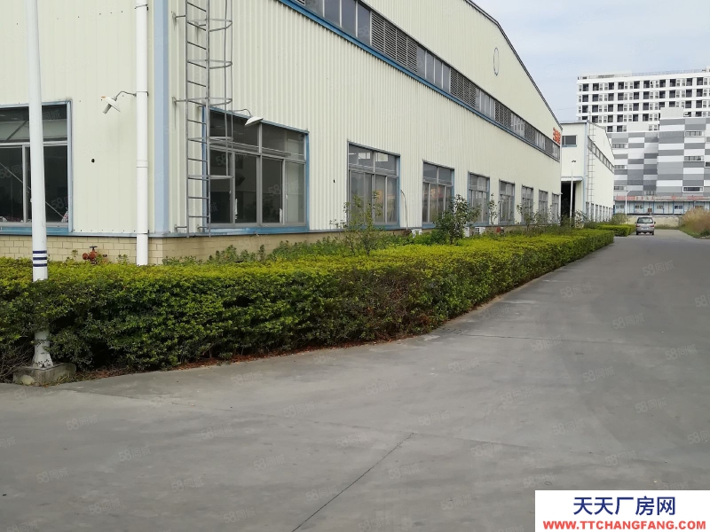 (出租) 惠州惠城區小金惠州大道邊附近9米高鋼構3300平方倉庫出租