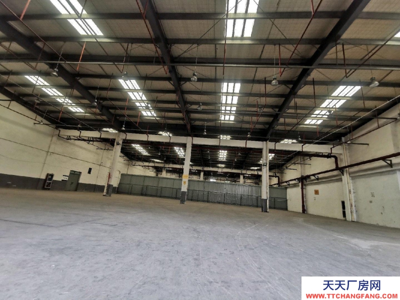 紹興市越城(出租) 一樓1300平方平面倉庫，600方立體庫帶裝卸月臺