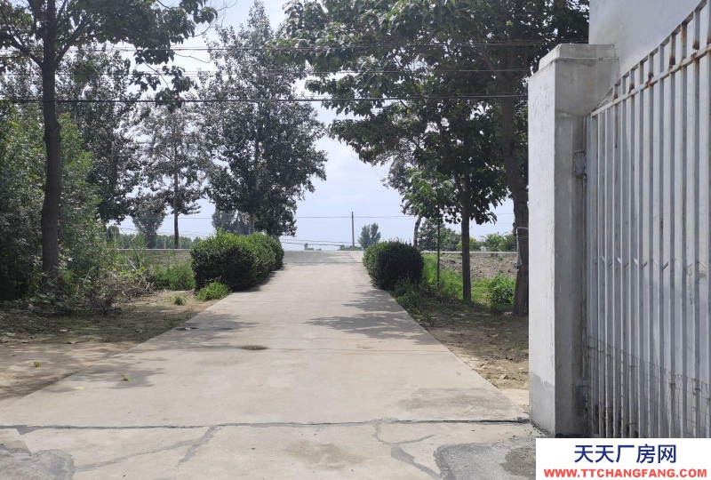 邢臺 南和 (出租) 出租倉庫廠房交通便利水電齊全