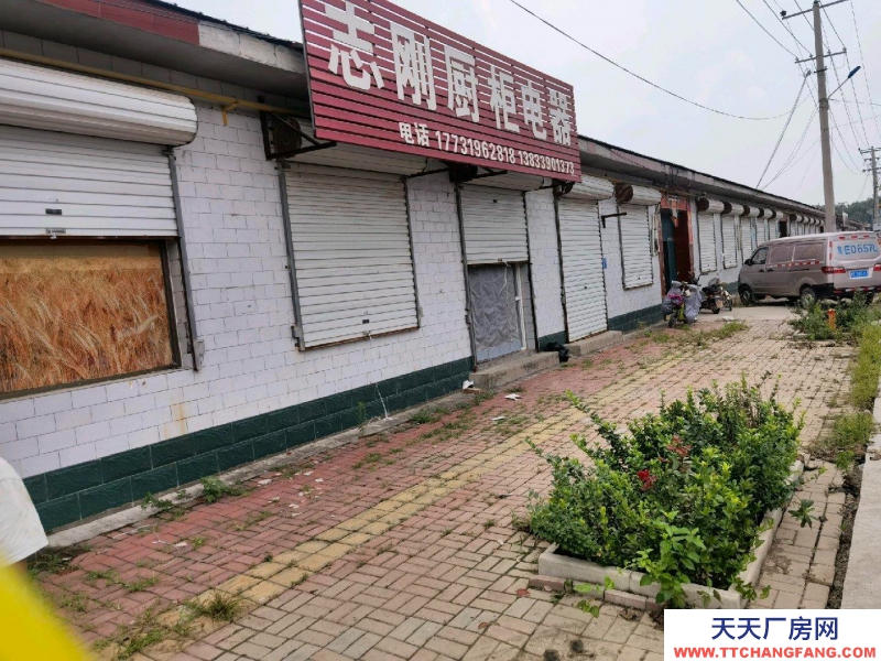 邢臺 南和 (出租) 門市，院子，廚房，臥室，客廳。