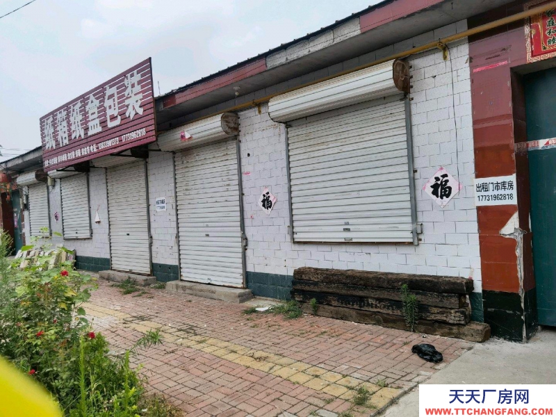 邢臺 南和 (出租) 門市，院子，廚房，臥室，客廳。