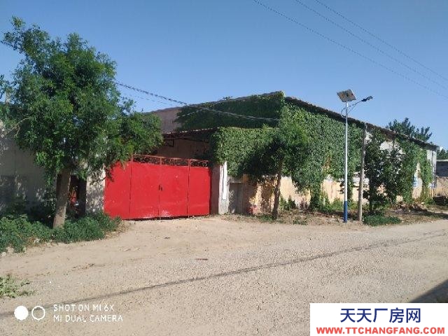 邢臺(tái) 寧晉 (出租) 出租廠地 有車間庫房宿舍彩鋼棚預(yù)制菜