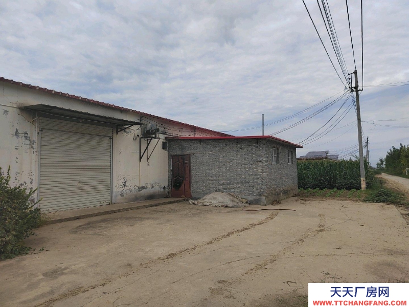 邢臺 寧晉 (出租) 可以做食品廠車間地面是地板磚預(yù)制菜廠房