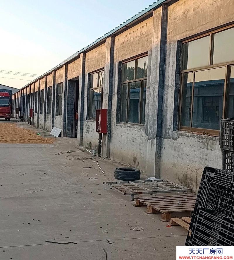 邢臺 寧晉 (出租) 水電齊全,三相電,門市庫房自己的獨院。前后都有大門,交通方便