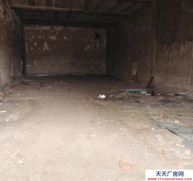 邢臺 寧晉 (出租) 獨立院子可做倉庫，可做廠房