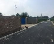 (出租) 濮陽清豐位置,面積不大不小,價格合適