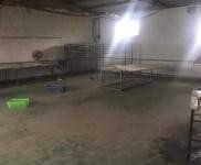 (出租)南樂廠房出租 自蓋廠房 楊村鄉