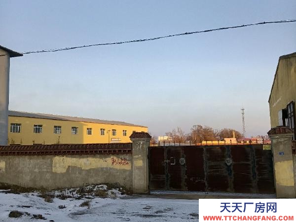 道里烘培廠房面積4000米！價(jià)格合理