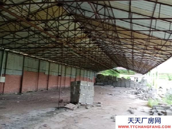 道里標(biāo)準(zhǔn)家具廠房2000平方米，簡易廠房800平方米