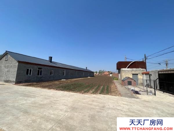 道里太平鎮(zhèn)附近5000平茶葉廠房出售