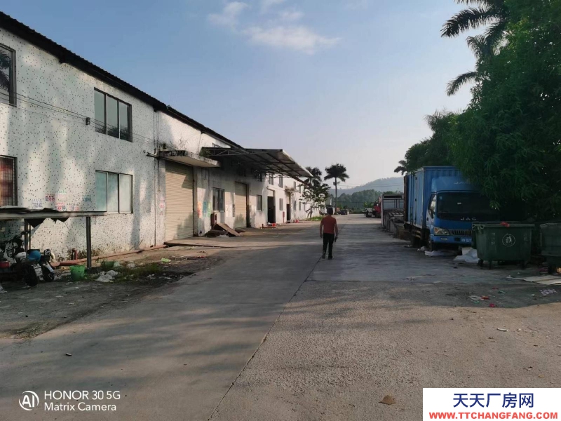 (出租) 惠州惠陽淡水白云六路南站新城附近8米高鋼結(jié)構(gòu)出租生產(chǎn)等行業(yè)無限制