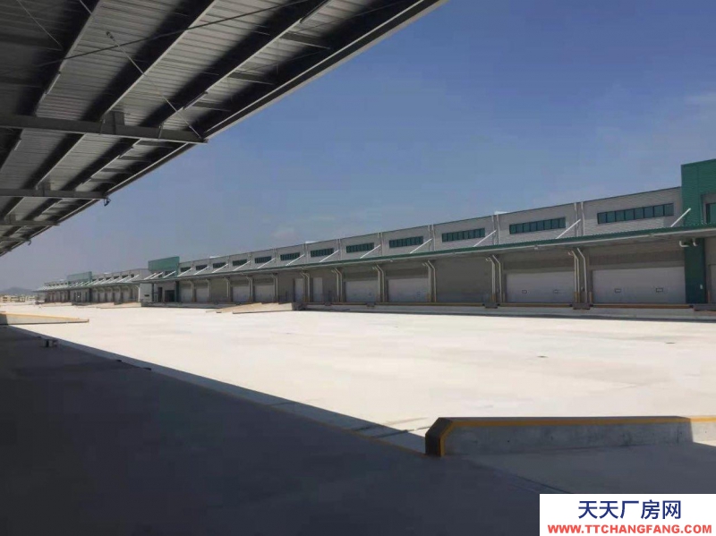 (出租) 惠州惠陽(yáng)安博物流園內(nèi)20000高標(biāo)倉(cāng)適合物流行業(yè)