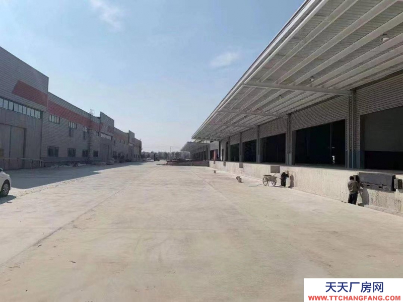 (出租) 惠州市博羅園洲鎮標準物流倉儲物流園出租冷庫/冷藏招租