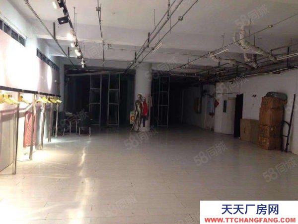 南崗暖庫房倉庫出租 多種面積 南崗區文君街30號