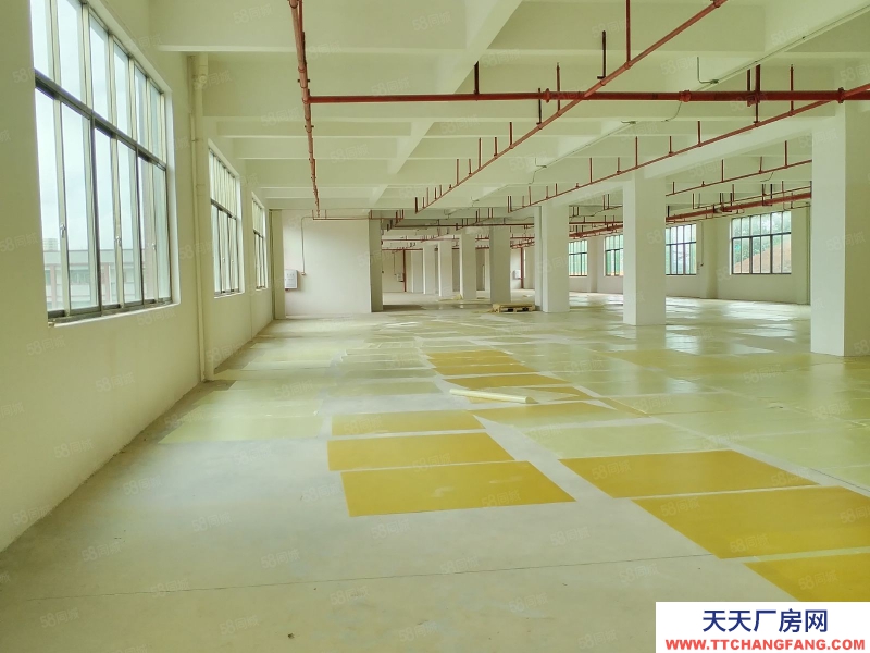 (出租) 梅州梅江大車出入方便適合做電子廠,制衣廠等各種加工廠