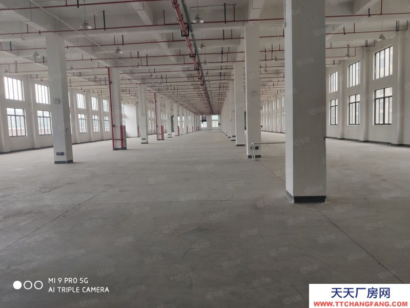 紹興市諸暨(出租) 諸暨城西工業城獨棟廠房倉庫12000平米出租