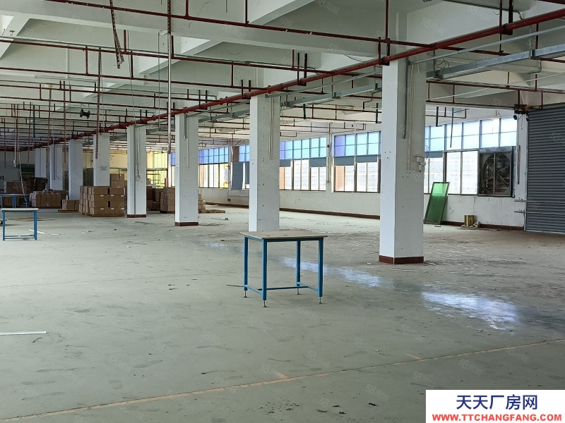 (出租) 梅州梅江順風車站附近1100平方標準廠房拖頭可達適合電子加工