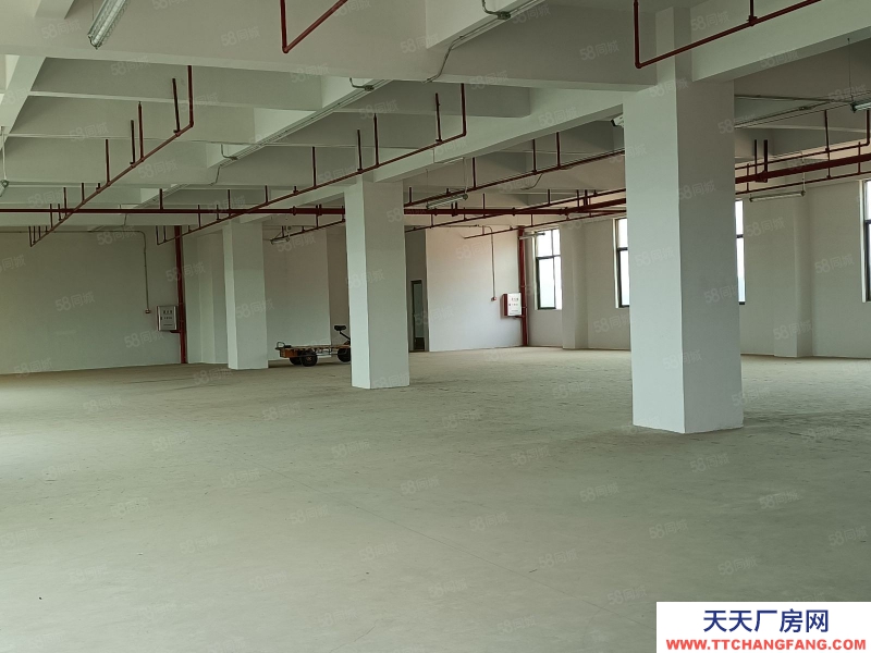 (出租) 梅州梅江江南標(biāo)準(zhǔn)廠房大貨梯有消防，適合烘培糕點(diǎn)