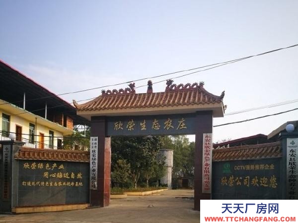 永州市東安調味面制品廠房  大型廠房整體出租或分棟出租