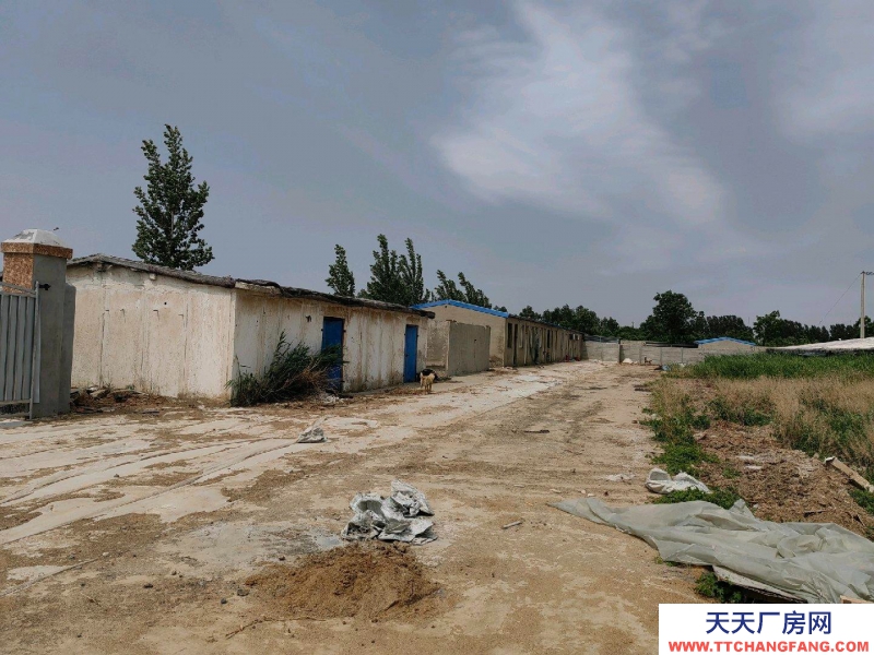 邢臺 巨鹿 (出租) 交通方便有三相電有水