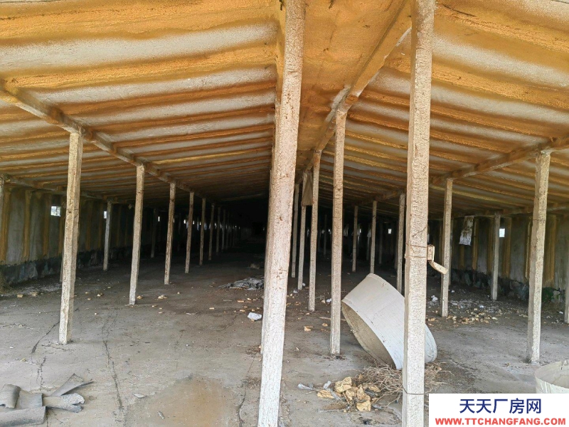 邢臺 巨鹿 (出租) 交通方便有三相電有水