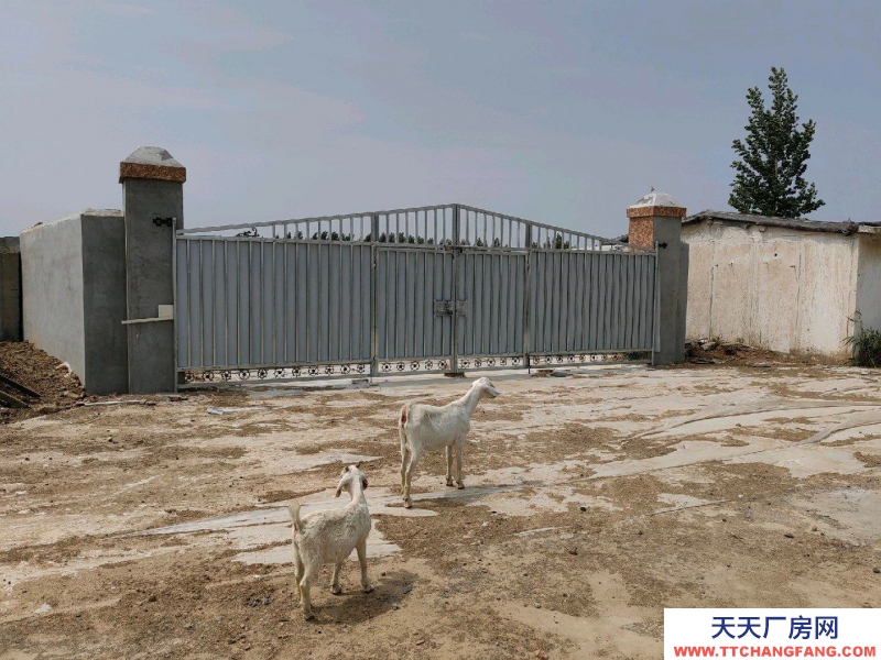 邢臺 巨鹿 (出租) 交通方便有三相電有水