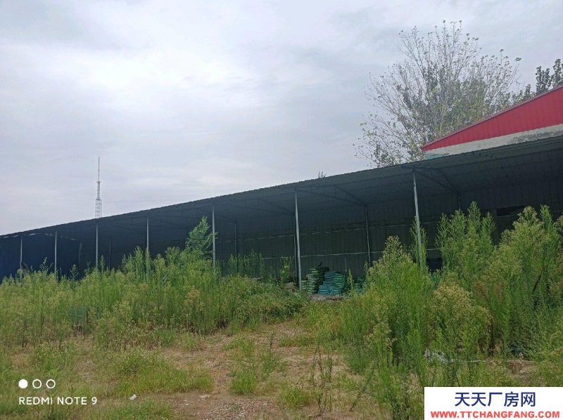 邢臺 廣宗  (出租) 位于開發(fā)區(qū)，交通便利 食用油、油脂及其制品廠房